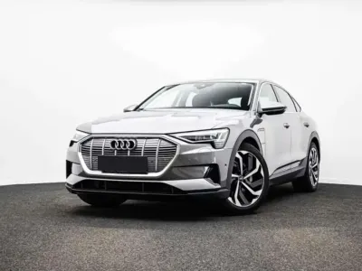 Usata Audi e-tron