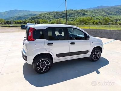 Occasion Fiat Panda 4x4 85 ch (62 kW) 2021 Blanc Citadine