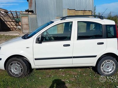 Usata Fiat Panda 2008 Bianco Berlina