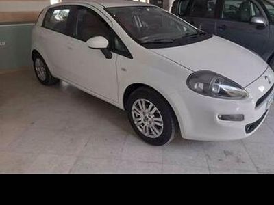 usata Fiat Punto Evo Punto Evo 1.2 5 porte Dynamic