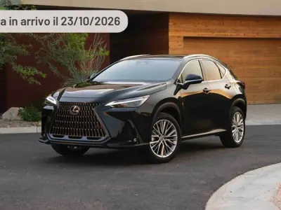 Nuova Lexus NX350h 243 CV (178 kW) 2025 Argento SUV