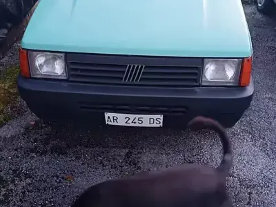 Usata Fiat Panda 39 CV (28 kW) 1995 Verde Utilitaria