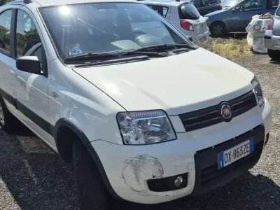 Usata Fiat Panda 4x4 69 CV (50 kW) 2009 Other Utilitaria