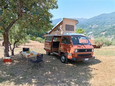 Usata VW T3 54 CV (39 kW) 1981 Marrone Furgone