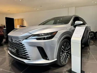 Usata Lexus RX450h Executive Line 185 CV (136 kW) 2023 Soni platino SUV