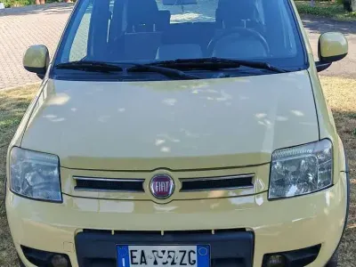 Usata Fiat Panda 4x4 Climbing 69 CV (50 kW) 2010 Giallo Utilitaria
