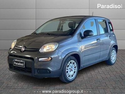 Usata Fiat Panda 69 CV (50 kW) 2023 Grigio Utilitaria