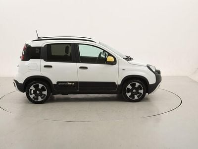 Usata Fiat Panda Cross Cross 70 CV (51 kW) 2025 Utilitaria