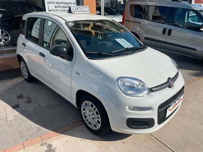Usata Fiat Panda Icon 65 CV (47 kW) 2025 Bianco Utilitaria