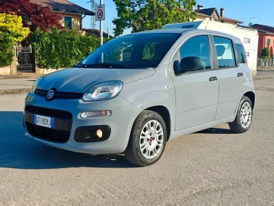 Usata Fiat Panda Cross