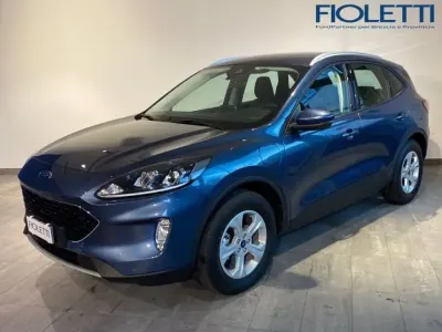 Usata Ford Kuga Business Edition 225 CV (165 kW) 2021 Blu/azzurro SUV