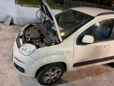 Usata Fiat Panda 70 CV (51 kW) 2013 Bianco Utilitaria