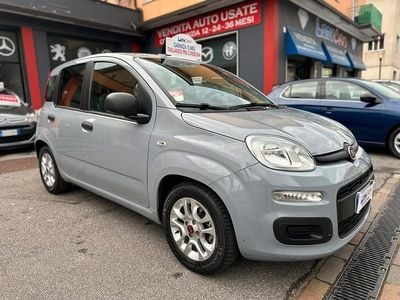 Usata Fiat Panda S 70 CV (51 kW) 2021 Grigio Utilitaria