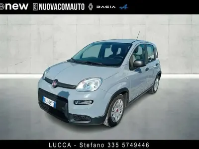 Usata Fiat Panda S 69 CV (50 kW) 2023 Grigio Utilitaria