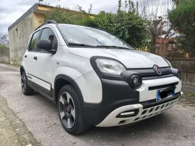 Usata Fiat Panda S 86 CV (63 kW) 2020 Utilitaria