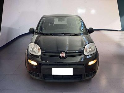Usata Fiat Panda S 69 CV (50 kW) 2023 Nero Utilitaria