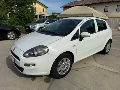 Usata Fiat Punto Lounge 77 CV (56 kW) 2016 Bianco Utilitaria