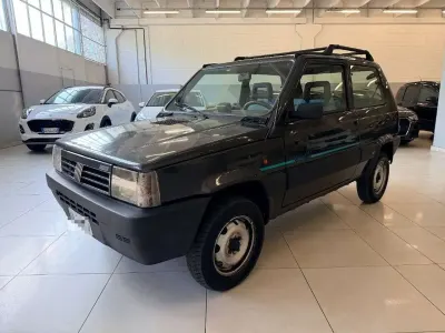 Usata Fiat Panda 4x4 Club 50 CV (36 kW) 1994 Verde Utilitaria