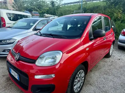 Usata Fiat Panda Easy 69 CV (50 kW) 2019 Rosso Utilitaria
