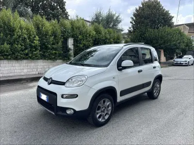 Usata Fiat Panda 4x4 S 95 CV (69 kW) 2017 Bianco Utilitaria