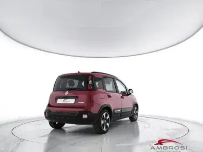 Usata Fiat Panda Cross Cross 70 CV (51 kW) 2025 Rosso Utilitaria