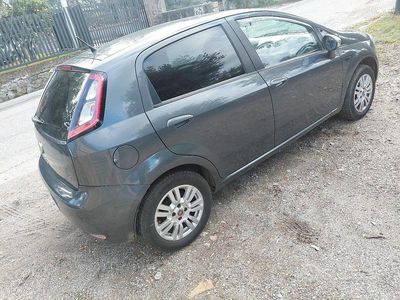 Usata Fiat Punto 75 CV (55 kW) 2015 Grigio Berlina