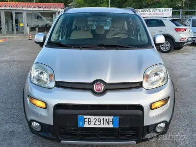 Usata Fiat Panda 4x4 S 75 CV (55 kW) 2015 Grigio Utilitaria