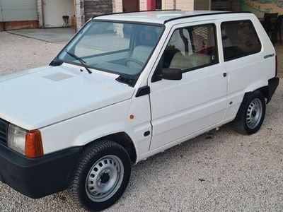 usata Fiat Panda 1100 i.e. cat Young DISTRIBUZIONE SOSTI