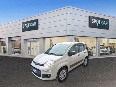 Usata Fiat Panda Easy 80 CV (58 kW) 2015 Beige Utilitaria