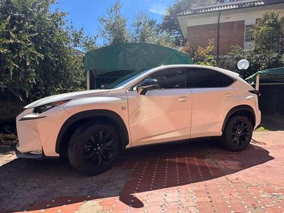 Usata Lexus NX300h Sport Line 155 CV (114 kW) 2016 Bianco SUV