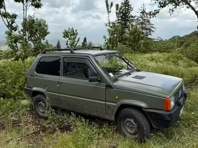 Usata Fiat Panda 4x4