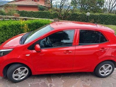 Usata Kia Picanto Active 67 CV (49 kW) 2017 Rosso Utilitaria