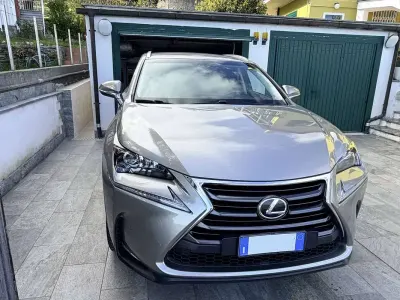 Usata Lexus NX300h Executive Line 155 CV (114 kW) 2017 Argento SUV