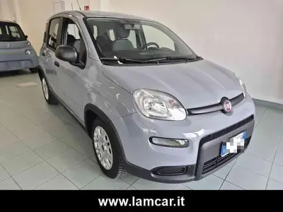 Usata Fiat Panda City Life 69 CV (50 kW) 2021 Grigio Utilitaria