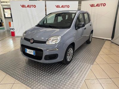 Usata Fiat Panda Easy 69 CV (50 kW) 2018 Grigio Utilitaria