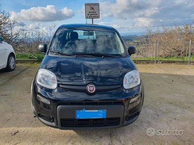 Usata Fiat Panda 70 CV (51 kW) 2024 Nero Utilitaria