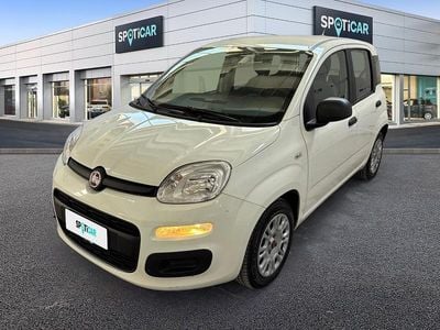 Usata Fiat Panda S 70 CV (51 kW) 2021 Bianco Utilitaria