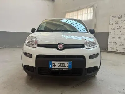 Usata Fiat Panda 69 CV (50 kW) 2023 Other Utilitaria