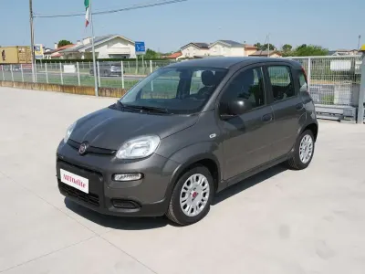 Usata Fiat Panda S 69 CV (50 kW) 2023 Grigio Utilitaria