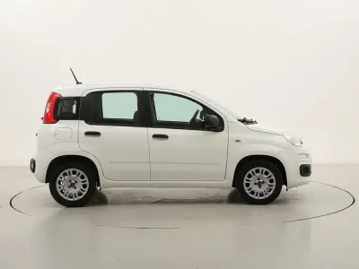 Usado Fiat Panda Easy 69 CV (50 kW) 2020 Utilitario
