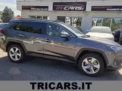 Usata Toyota RAV4 Hybrid Lounge 178 CV (130 kW) 2020 Grigio SUV