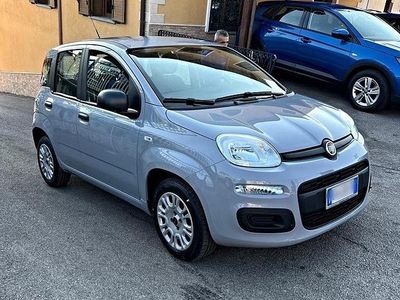 Usata Fiat Panda 71 CV (52 kW) 2022 Grigio Utilitaria