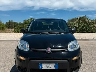 Usata Fiat Panda 70 CV (51 kW) 2023 Nero Utilitaria