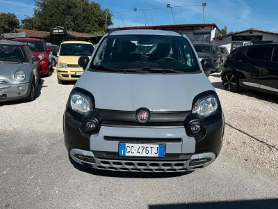 Usata Fiat Panda Cross Cross 69 CV (50 kW) 2020 Grigio Utilitaria