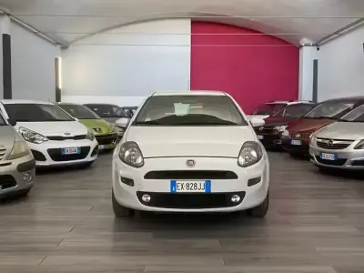 Usata Fiat Punto Lounge 70 CV (51 kW) 2014 Bianco Utilitaria