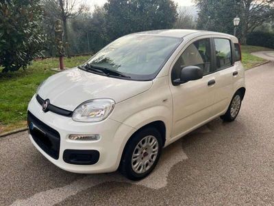 usata Fiat Panda 1.2 Lounge 69cv