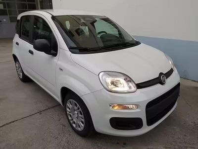 Nuova Fiat Panda 69 CV (50 kW) 2025 Bianco Utilitaria