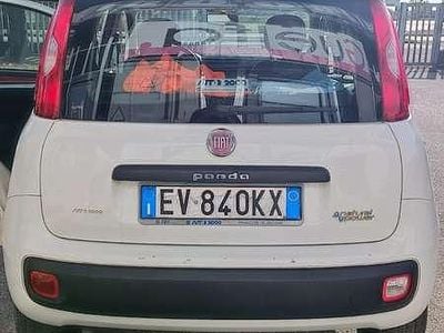Usata Fiat Panda Pop 80 CV (58 kW) 2014 Bianco Utilitaria