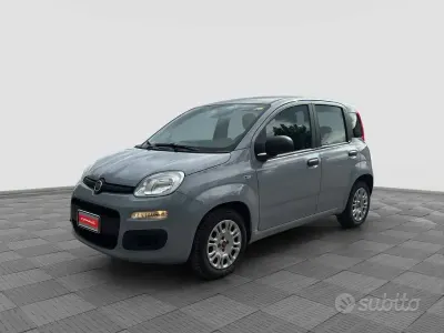Usata Fiat Panda 69 CV (50 kW) 2021 Grigio Utilitaria
