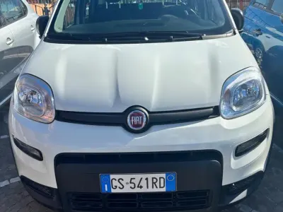 Usata Fiat Panda S 69 CV (50 kW) 2024 Bianco Utilitaria